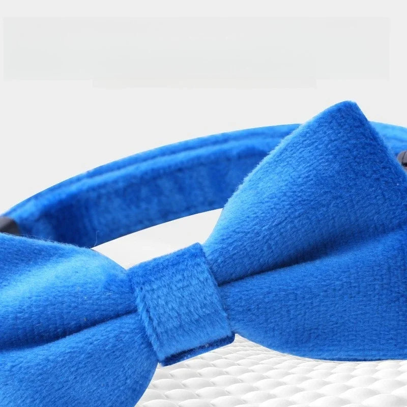 Bowknot Cat Collar with Bell — Safety Breakaway Buckle Collar for Kittens & Puppies