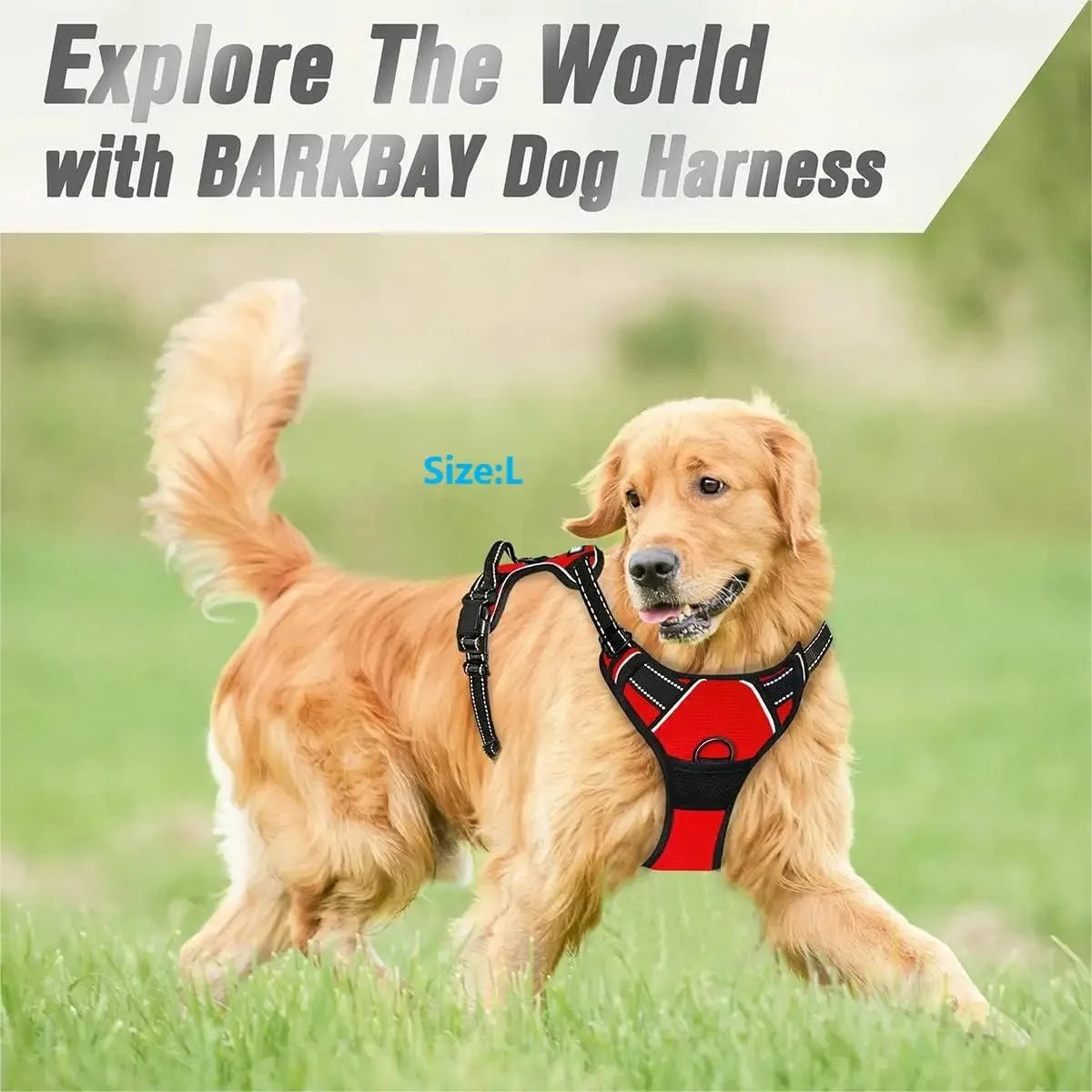 No Pull Dog Harness — Adjustable Vest with Leash & Collar Set for Small, Medium & Large Dogs