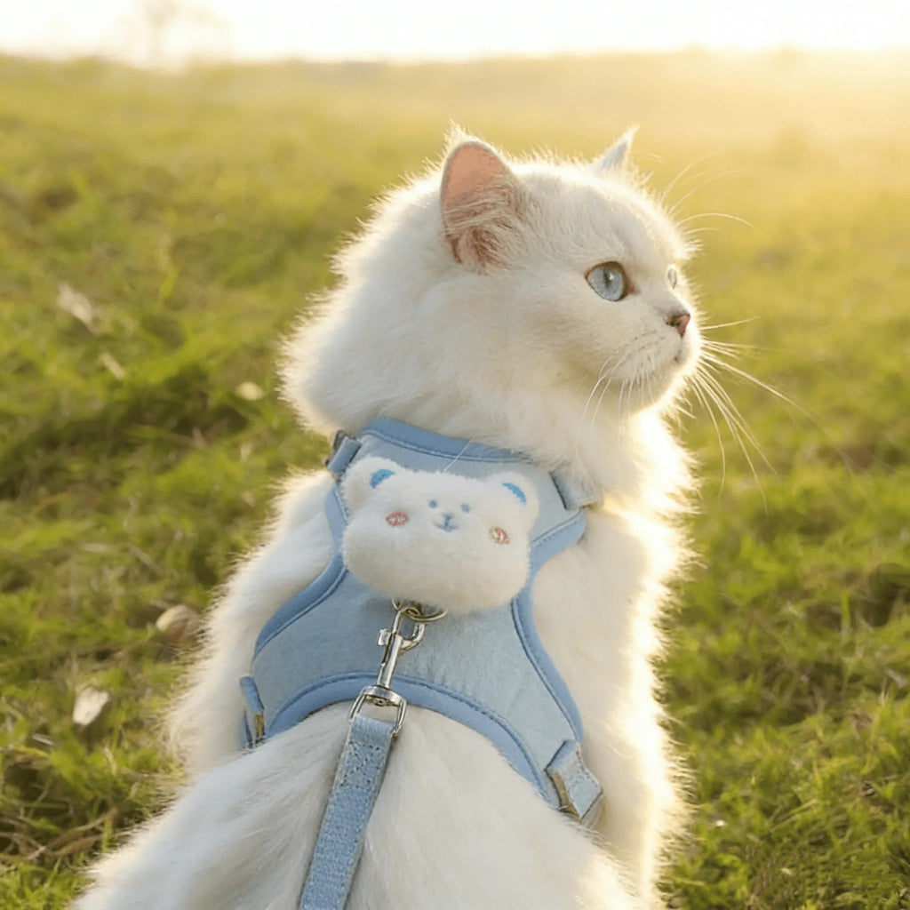 Cute Cartoon Pet Harness & Leash Set — Breathable Adjustable Walking Harness for Dogs