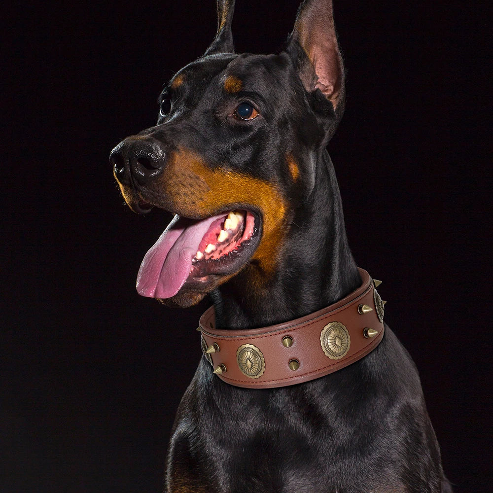 Genuine Leather Spiked Dog Collar — Studded Adjustable Collar for Large Dogs & Pitbulls