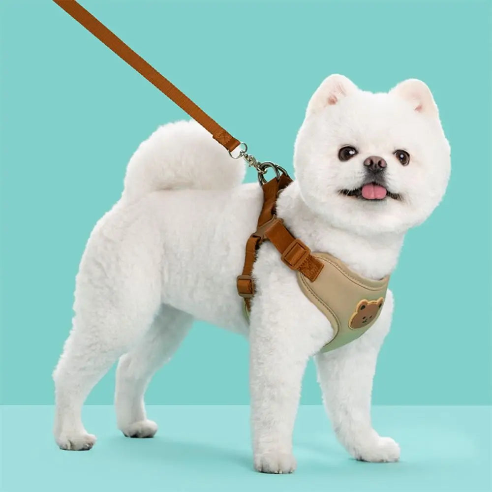 Cartoon No-Pull Dog Harness & Leash — Adjustable Anti-Escape Walking Set for Pets