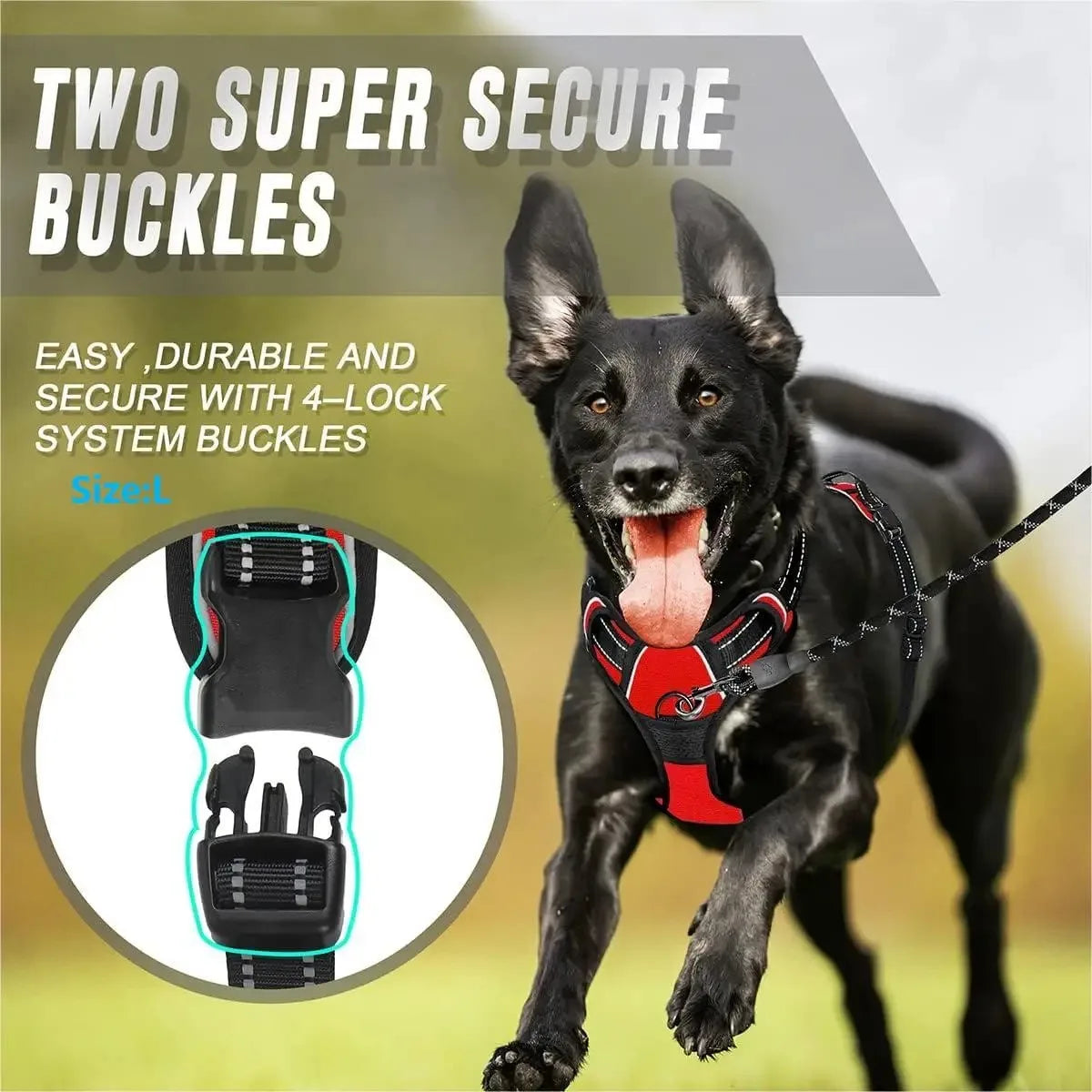 No Pull Dog Harness — Adjustable Vest with Leash & Collar Set for Small, Medium & Large Dogs