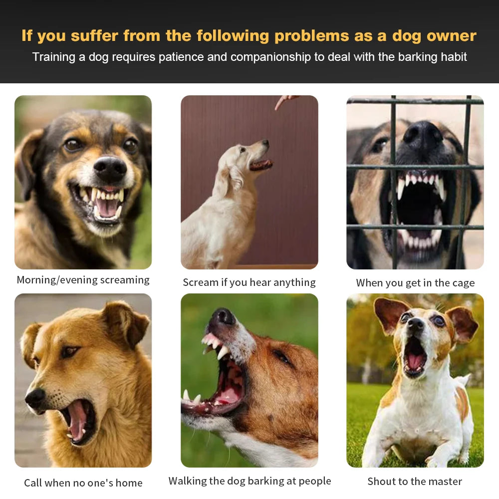 GPS Wireless Electric Dog Fence — 480M Rechargeable Vibration & Shock Remote Training System